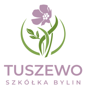 Tuszewo — Szkółka bylin